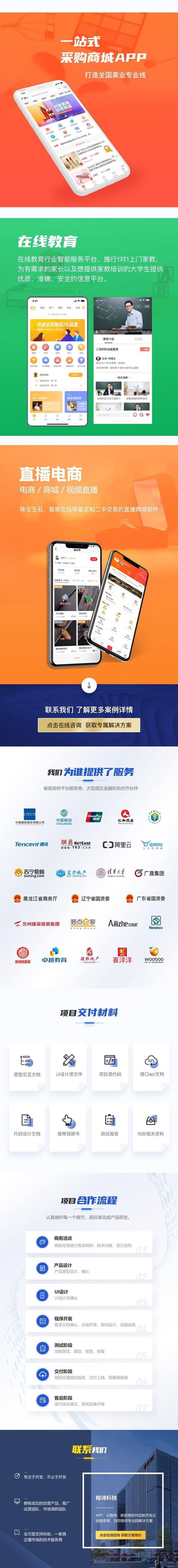 数字时代的企业管理：系统开发的智慧选择